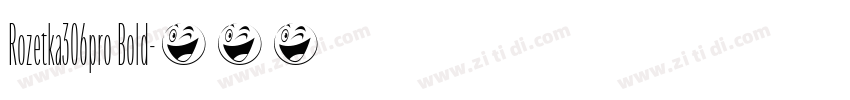 Rozetka306pro Bold字体转换